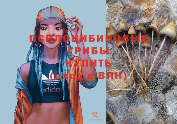 скорость Протвино