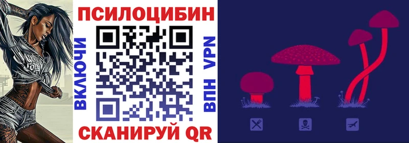 Псилоцибиновые грибы GOLDEN TEACHER  Чебаркуль 